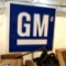 GM SS Plastic Sign