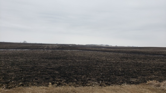 Approx. 254 Acres Big Stone County MN farmland