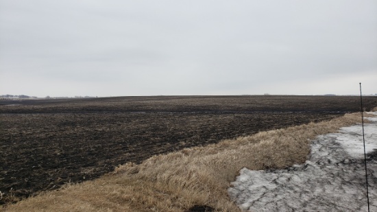 Approx 254 acres Big Stone County MN Farmland