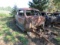 1946 Ford Coupe Body for Project or Parts