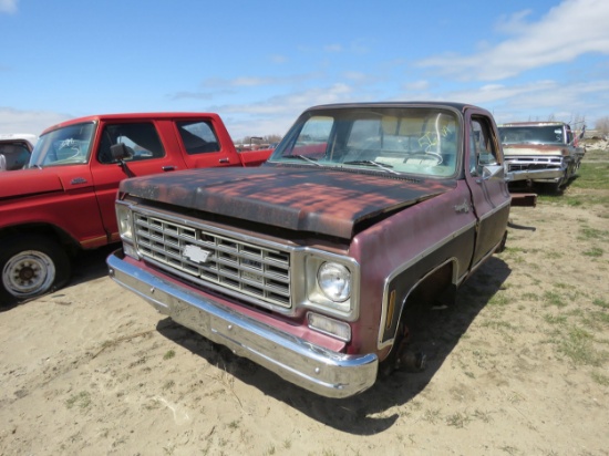 1976 Chevrolet Pickup for Project