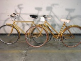 1960's Ronbin Hood/Raleigh Bicycle