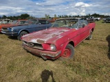 1966 Ford Mustang