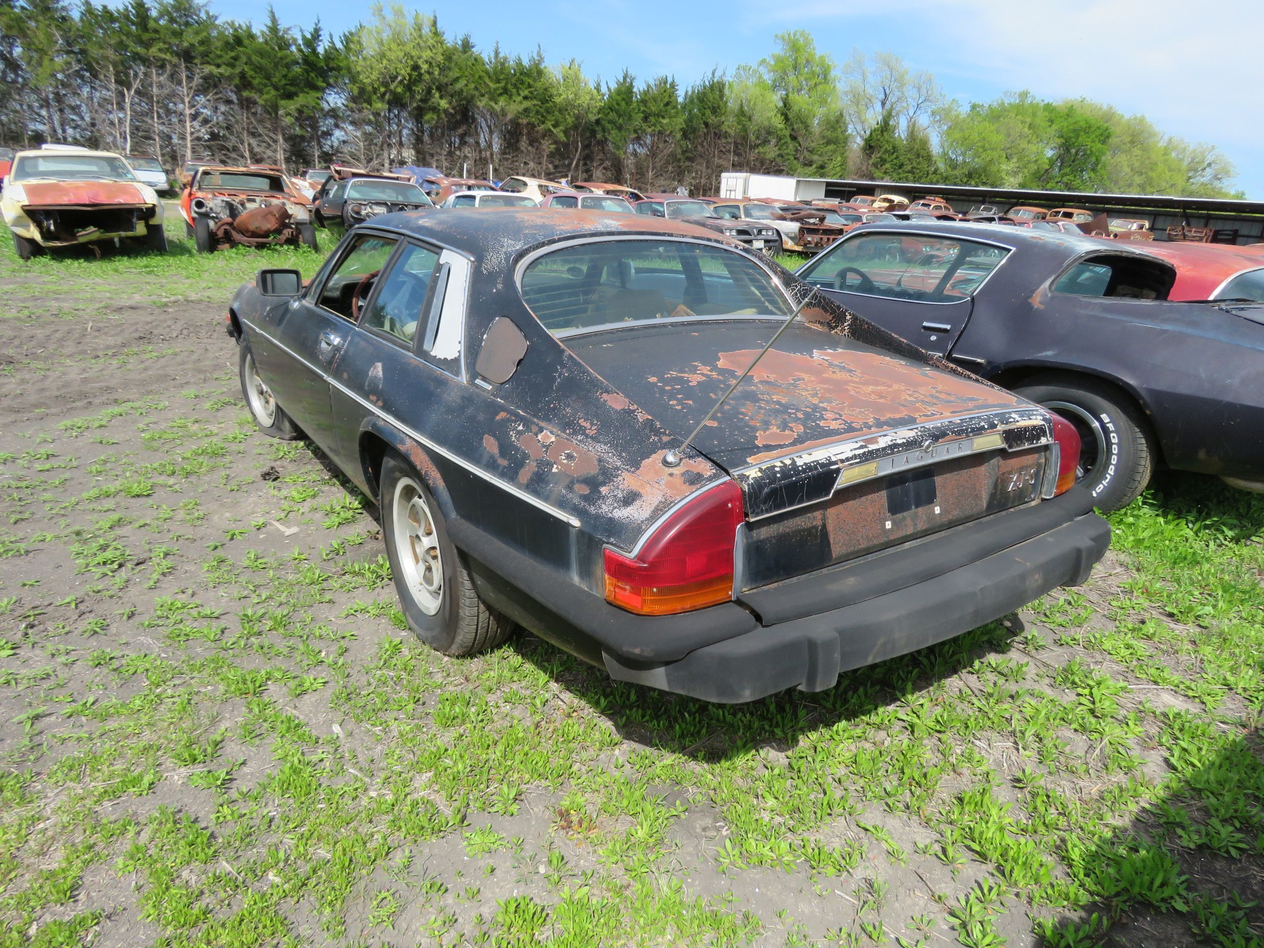 1978 Jaguar XJS Cannonball Run Car | Proxibid