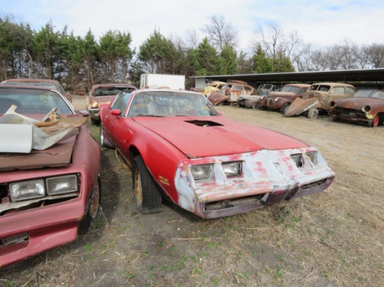 1981  Pontiac Trans Am