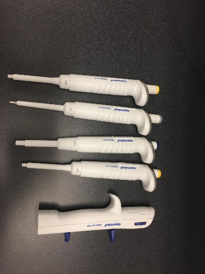 Eppendorf Reference 2 20-200UL