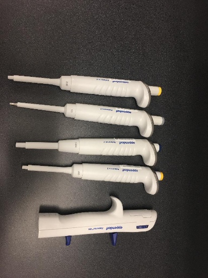 Eppendorf Reference 2 100-1000UL