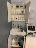 MEDICINE CABINET & SINK CONTENTS