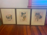 Three Franed Prints