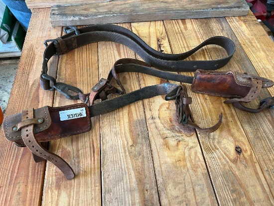 Climbing Belt and two Spikes