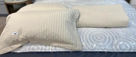 Two Pillows and a bedspread