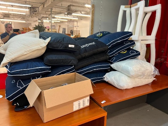 Lot of Misc Display Pillows