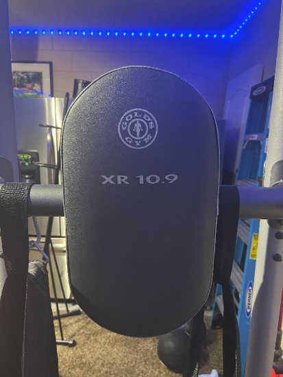 Gold's Gym XR 10.9 Power Tower - Push Up, Pull Up and Dip Stations. (Weights Not Included)
