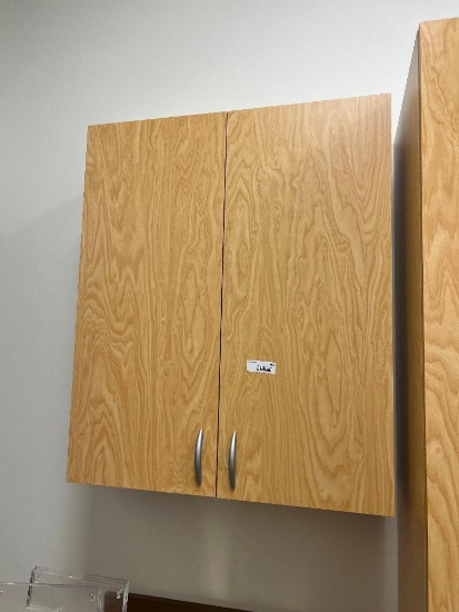 Cabinets (Not Sink)