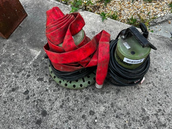 Lot of 2 Drummond Sump Pumps