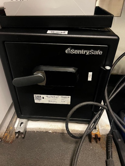 Sentry safe