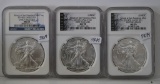 3-2014 Silver American Eagle Dollars
