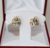 3.48 ct Aqua-Marine Earrings