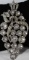 A Rhinestone Brooch, Staret