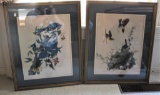 2 Framed Audubon Bird Print Later Editions, Yellow Breasted and Blue Jay
