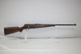Savage Sporter Rifle, 22 LR