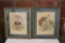 Two Framed Antique Colored Bird Prints
