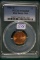 1982-D Graded Zinc Lincoln Cent