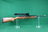 Ruger Ranch Rifle, 223