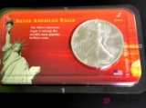 Silver American eagle dollar