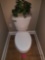 White Toilet with Silk Plant