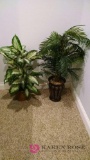 Two artificial plants