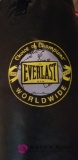 Everlast Punching Bag with Metal Stand