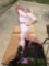 Mark McGwire standee