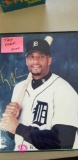 Detroit Tigers Photographs