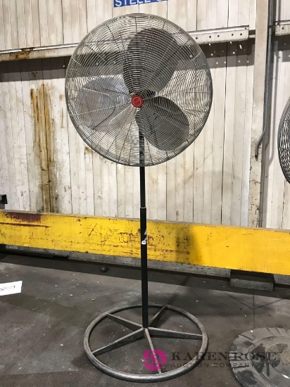 Commercial Pedestal fan