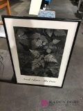 Framed Ansel Adams the print