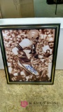 Cleveland Browns autographed picture