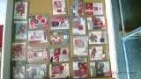 Detroit Red Wings game-used Jersey trading cards