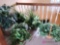 Five artificial green plants. Located upstairs