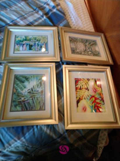 4 framed 14 by 17 pictures