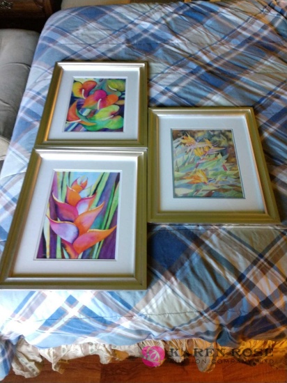 Three 19 x 23 framed pictures