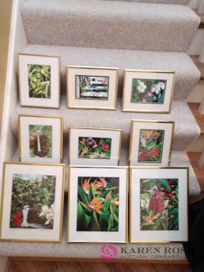 Set of 9 framed and signed pictures