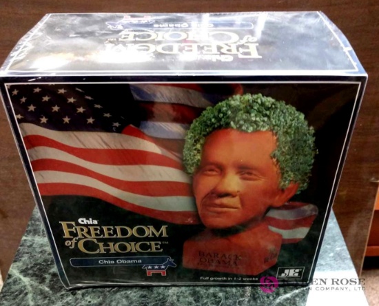 Obama Chia pet