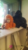 Large gorilla, chimpanzee stuffed animals