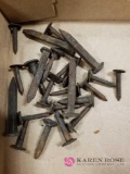 25 Embossed Railroad Spikes