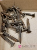 25 Embossed Railroad Spikes