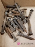 25 Embossed Railroad Spikes