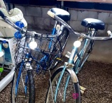 Vintage bikes