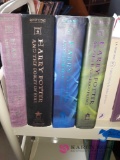 Harry Potter book lot