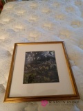 16 x 17 framed picture b1